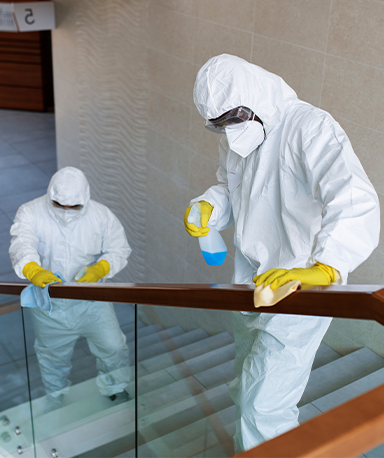 how-much-cleaning-cost